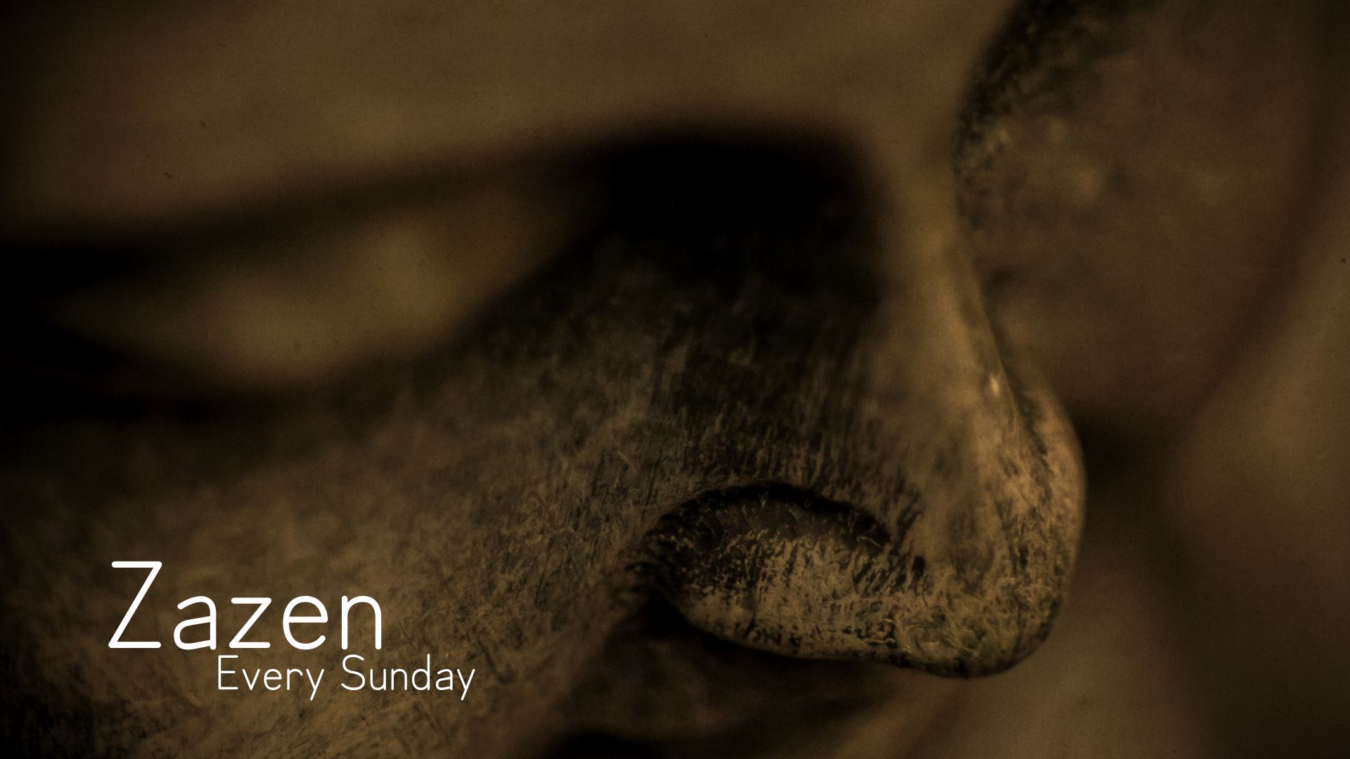 Upclose photo of Buddha statue's face