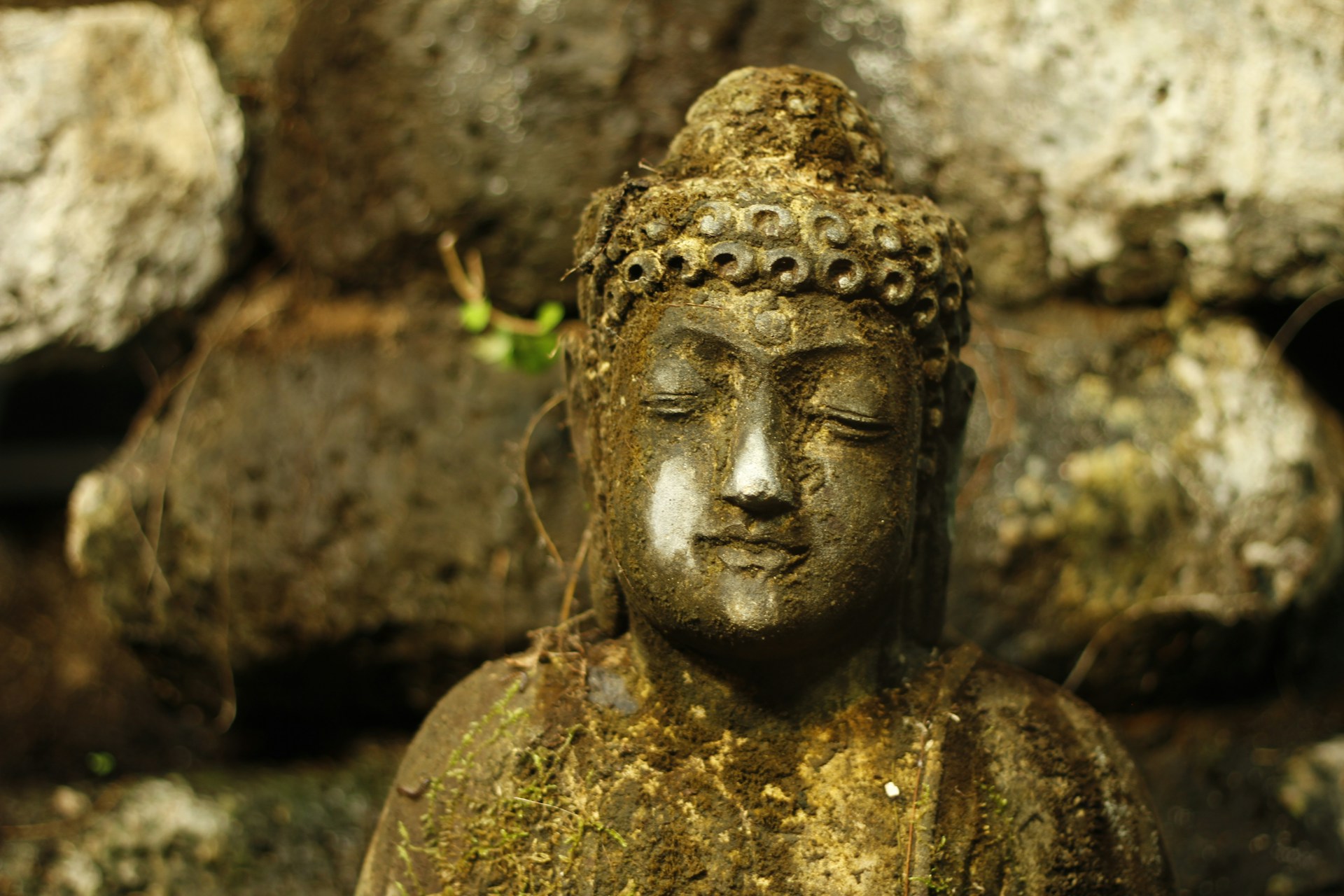 Close up of Buddha statue with moss growing on it.